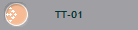 TT-01